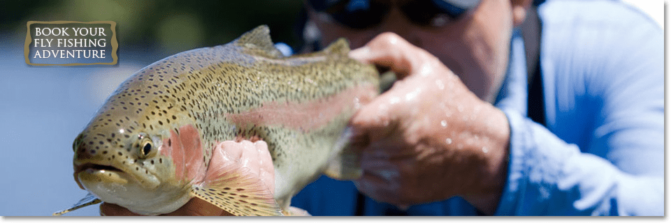 Art Teter Fishing Guide